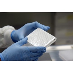 Variante brasileira do coronavírus ainda predomina no Paraná